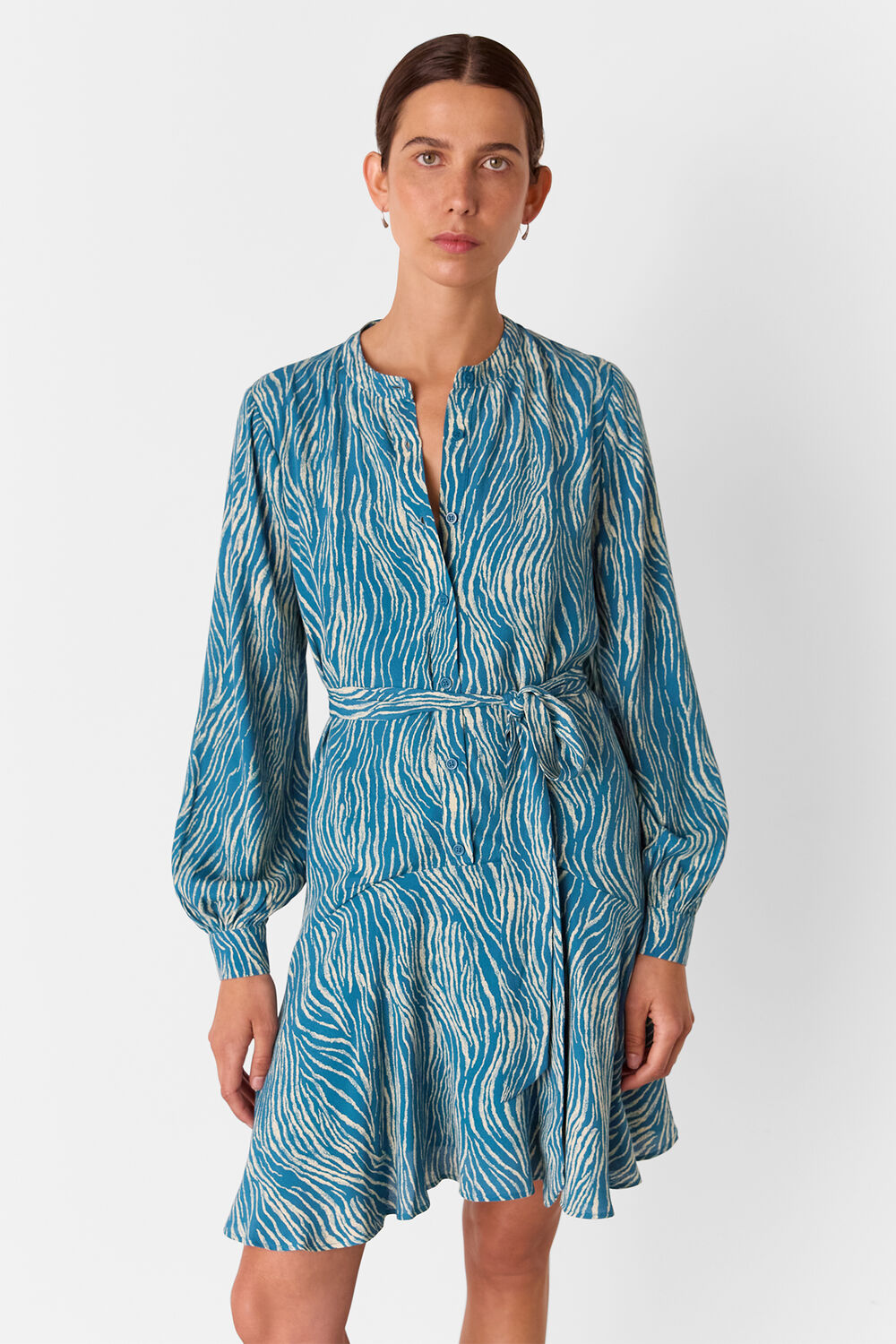 Blue Zebra Flippy Mini Dress
