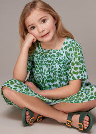 Smooth Leopard Trapeze Dress