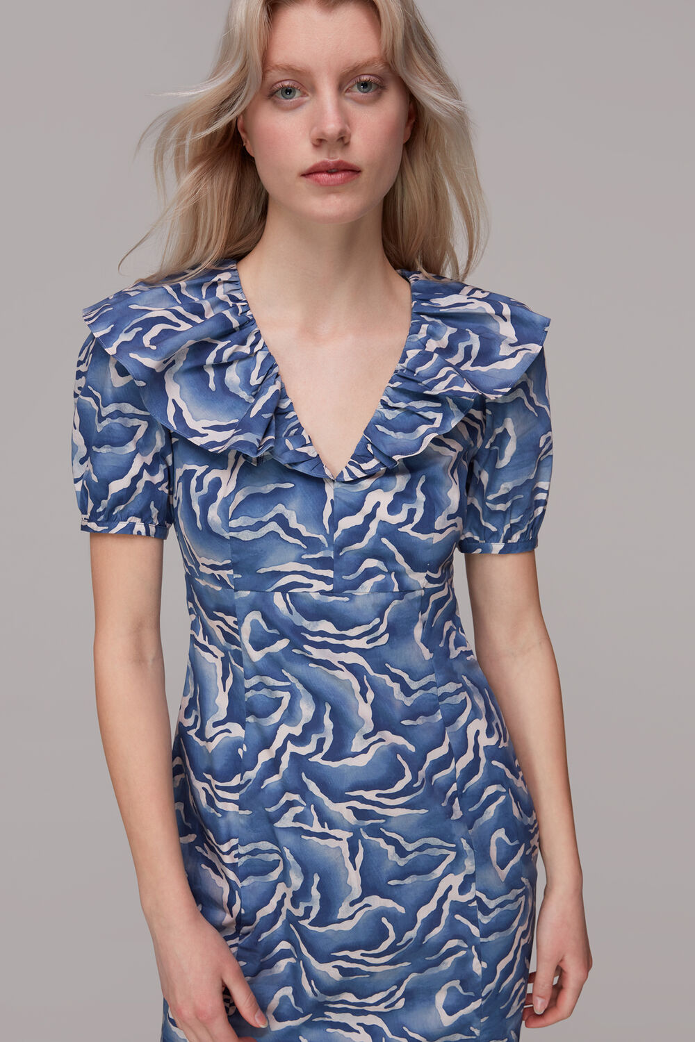 Watercolour Zebra Poplin Dress