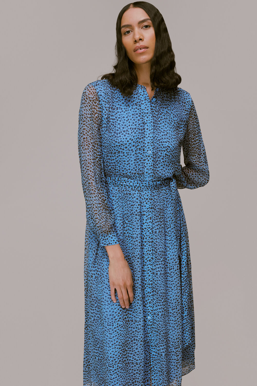 Gradient Animal Print Dress