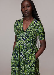 Fluro Animal Collar Dress