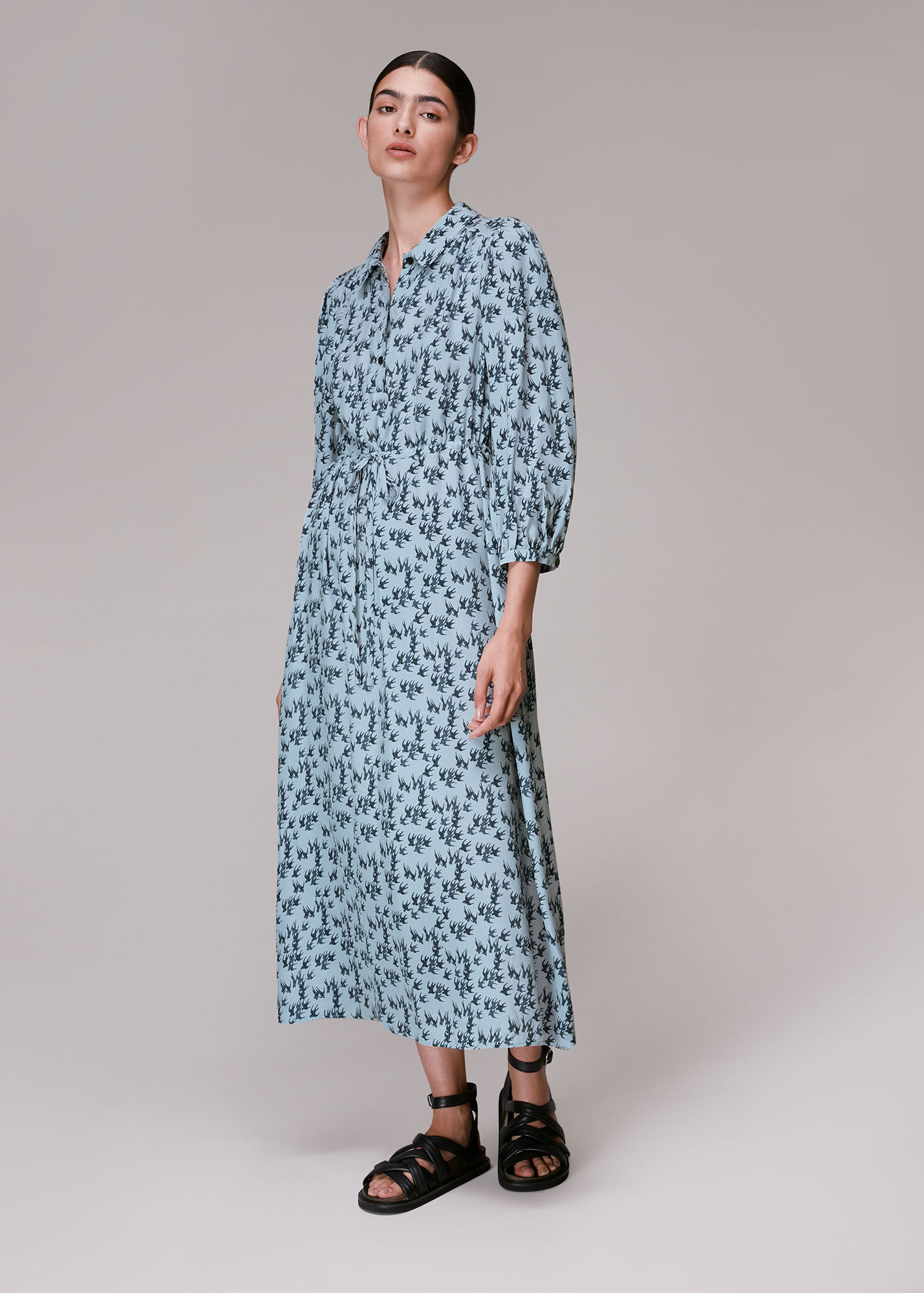 Blue/Multi Swallows Print Midi Dress | WHISTLES