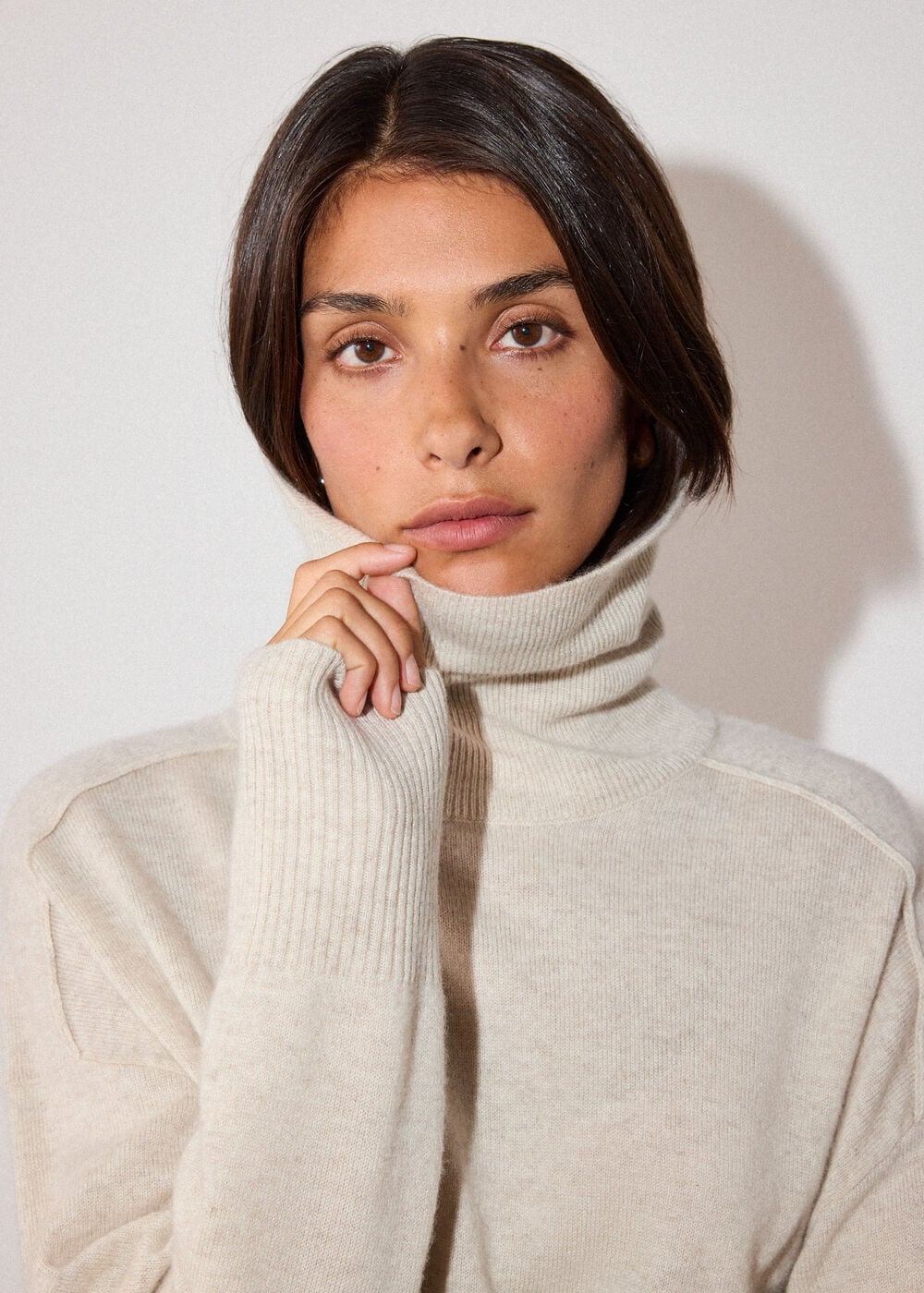 Cashmere Seam Roll Neck Knit