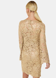 Metallic Lace Mini Dress