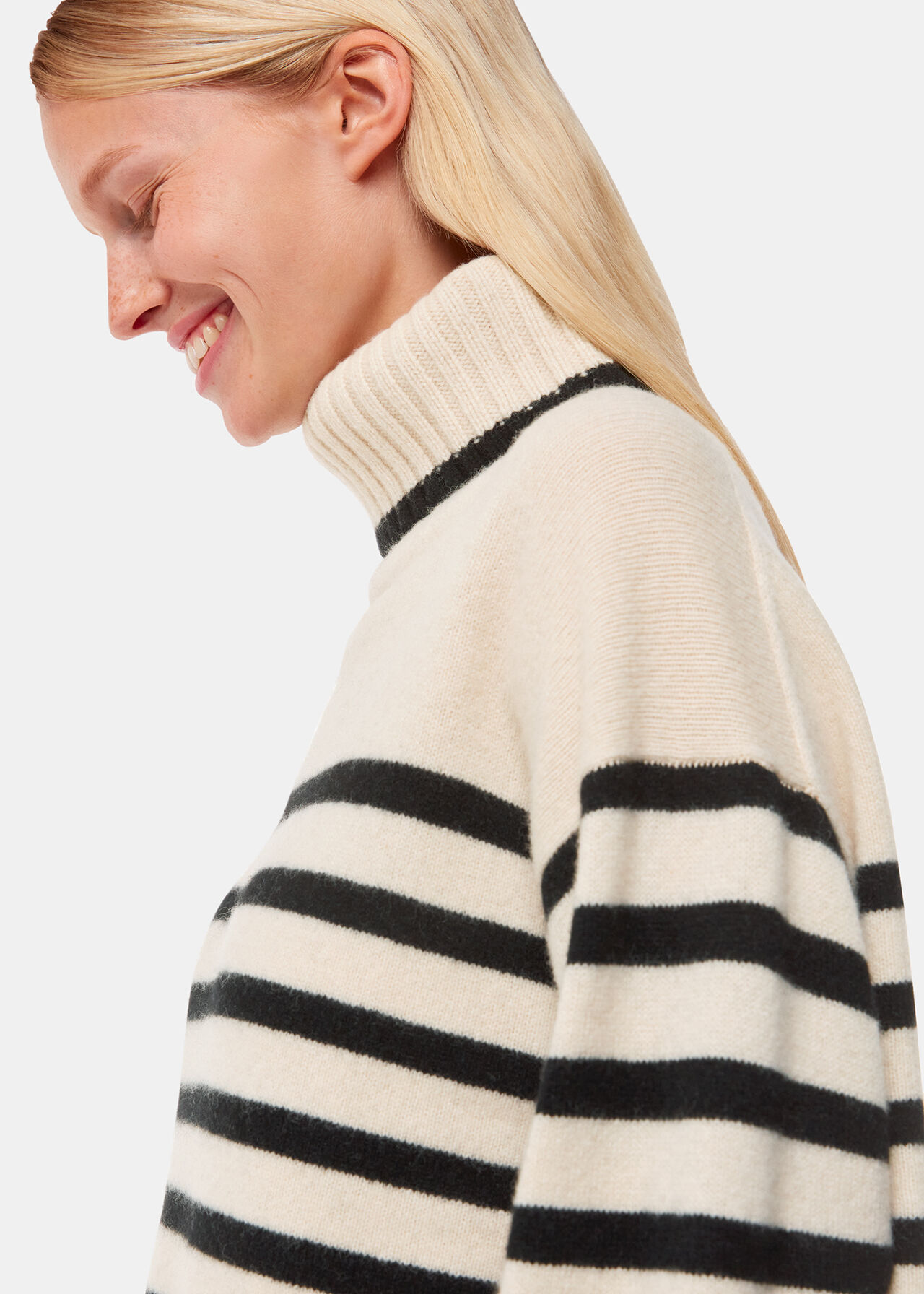Stripe Wool Roll Neck