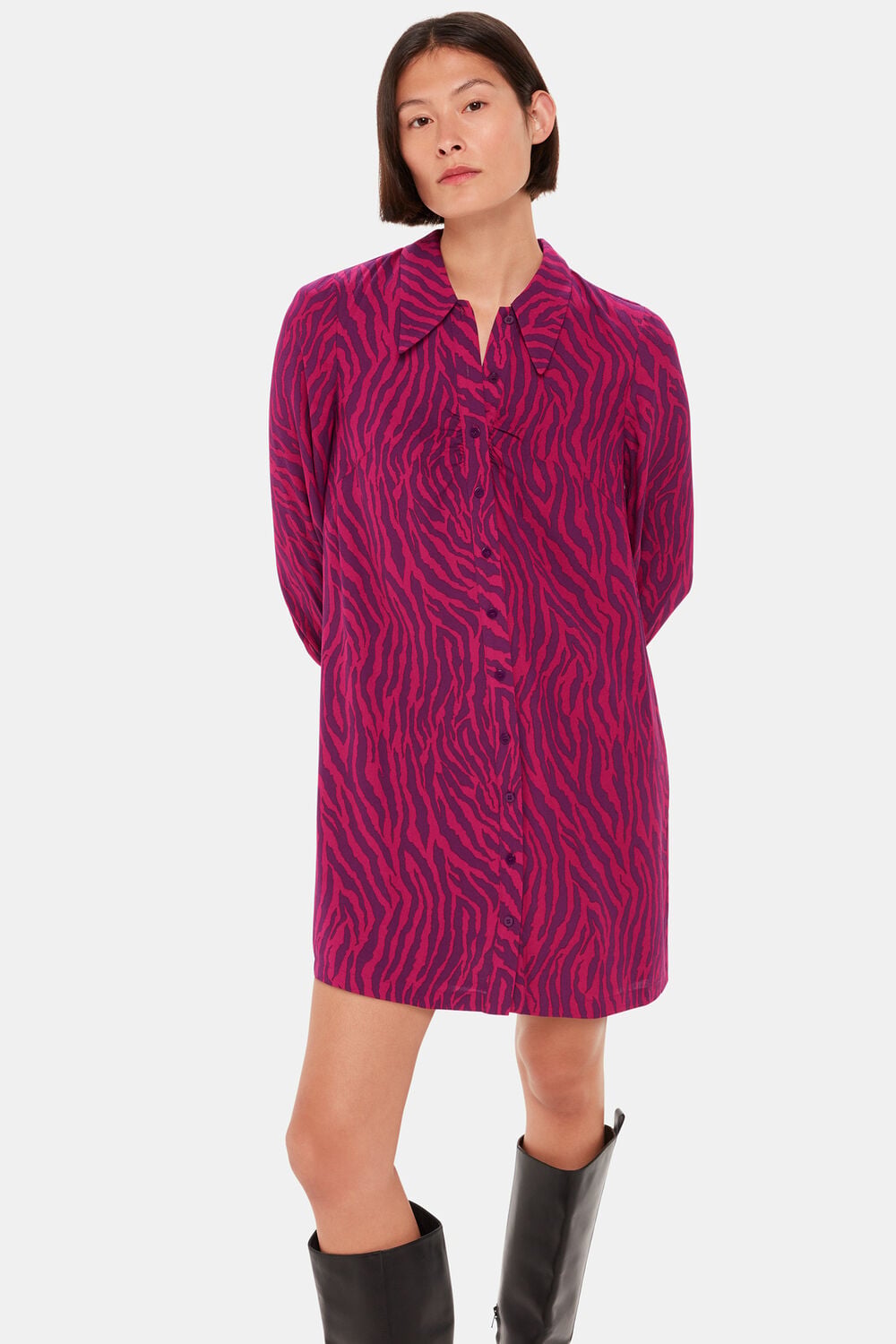 Zebra Stripe Collar Dress