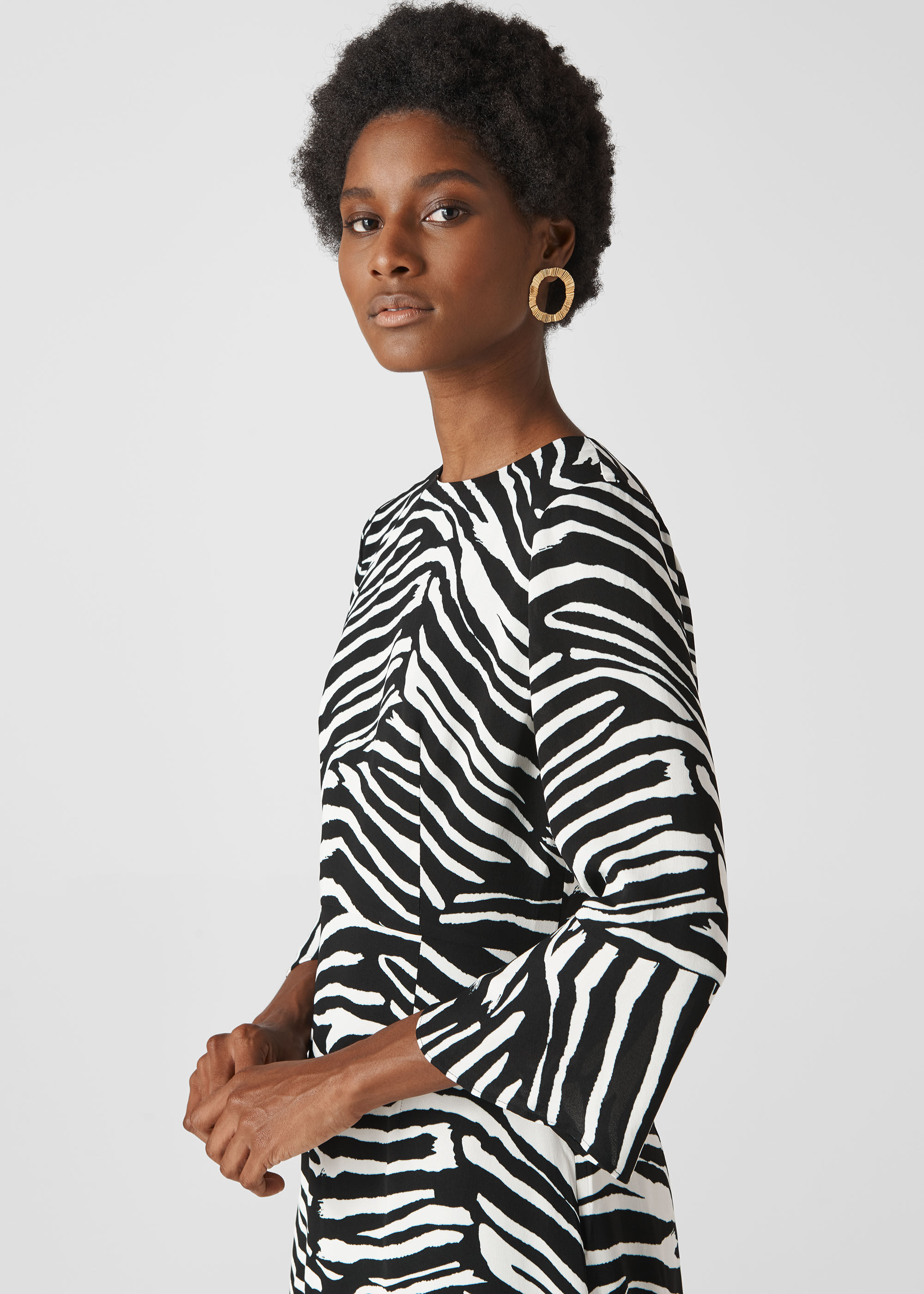 whistles zebra dress