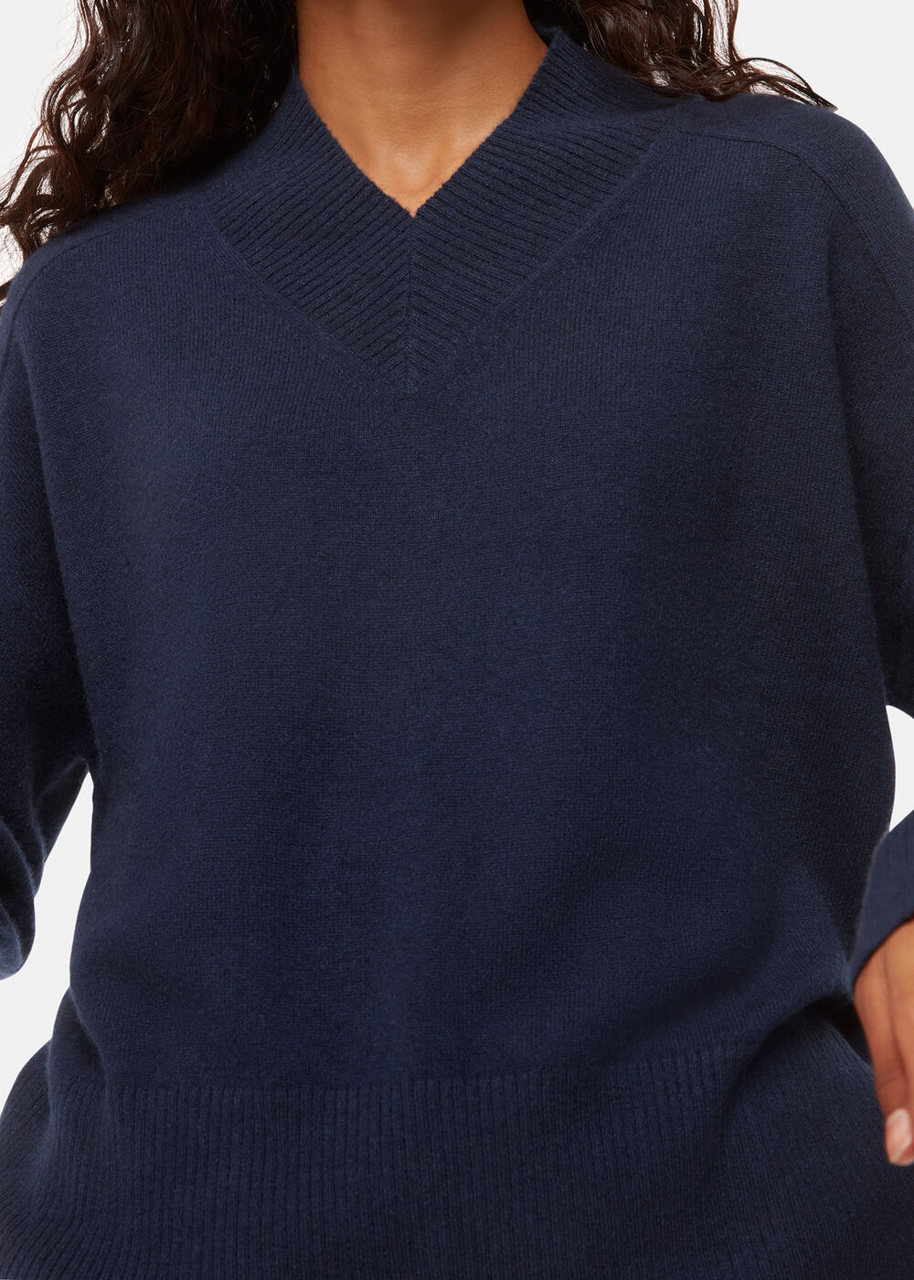 Petite Cashmere V Neck Knit