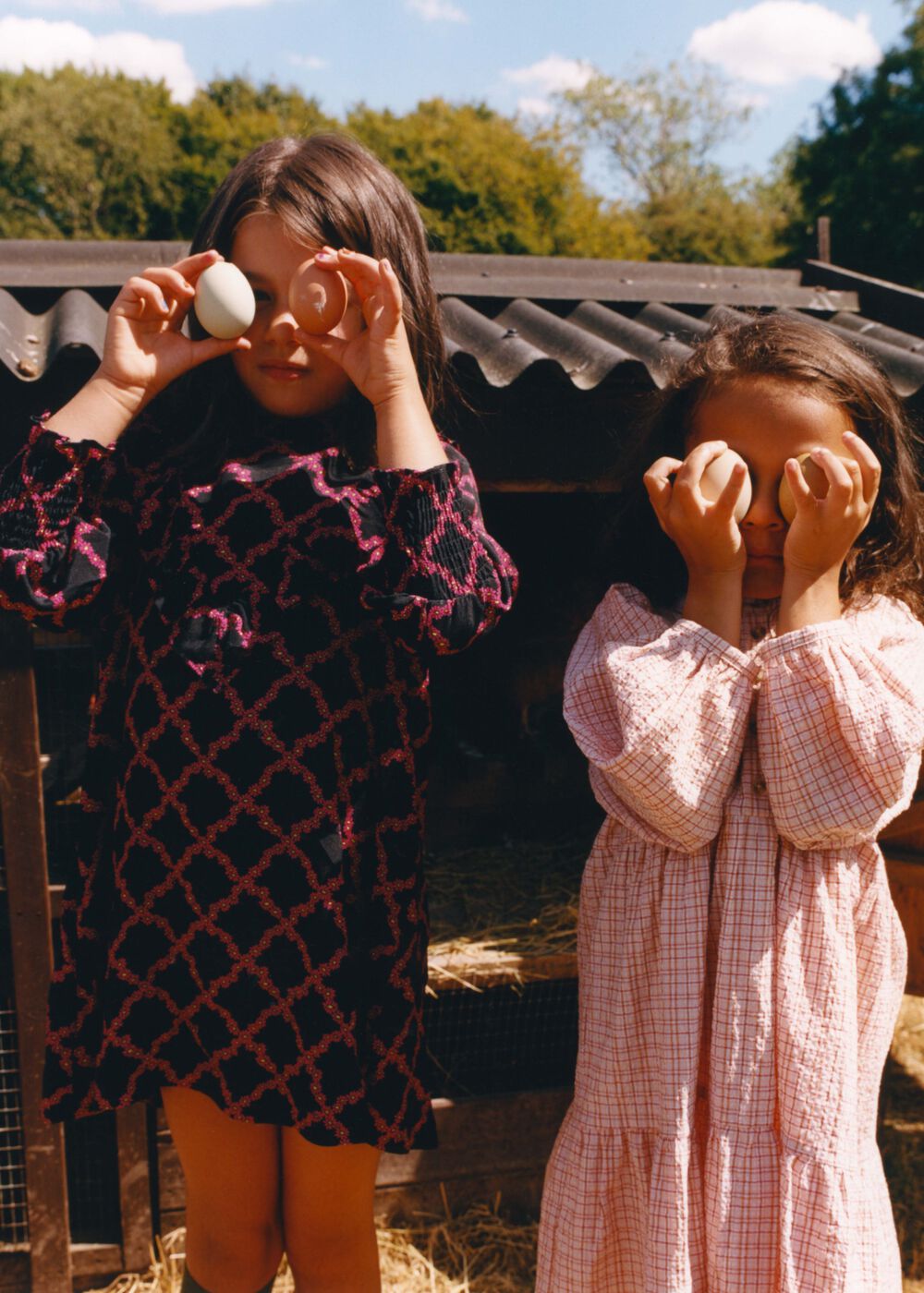 Daisy Trellis Avery Dress