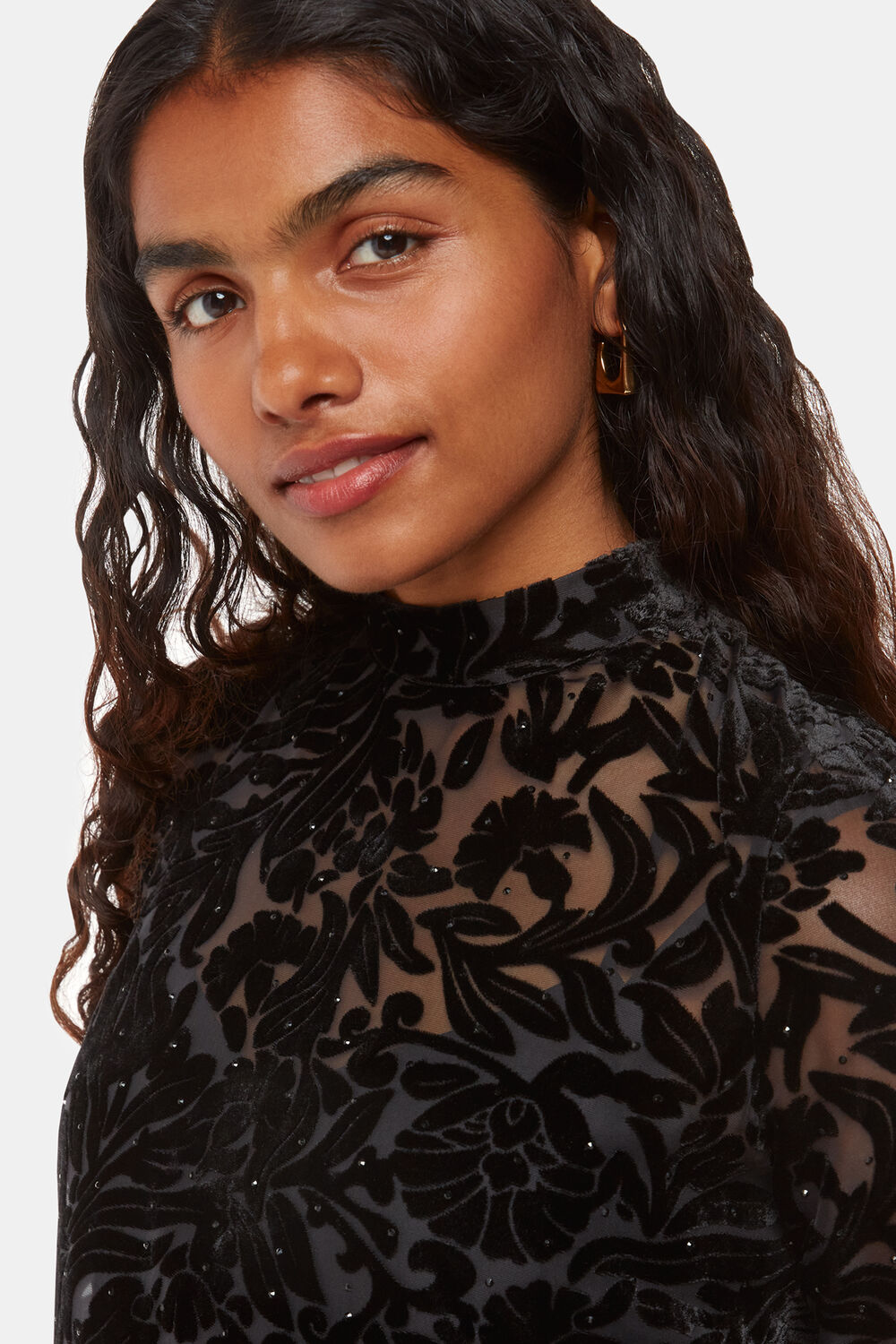 Petite Hot Fix Floral Velvet Dress