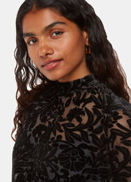 Petite Hot Fix Floral Velvet Dress