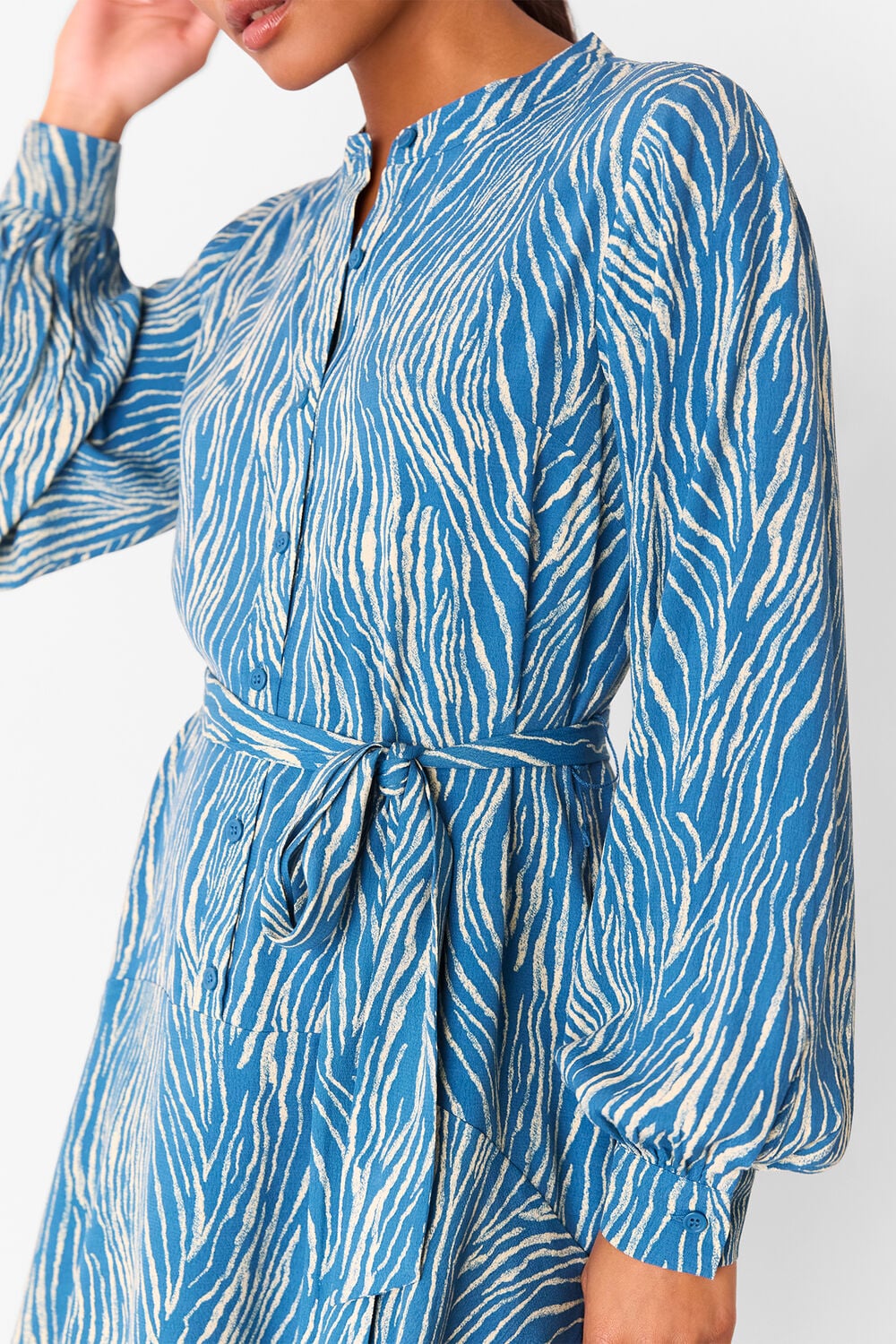 Blue Petite Zebra Flippy Mini Dress