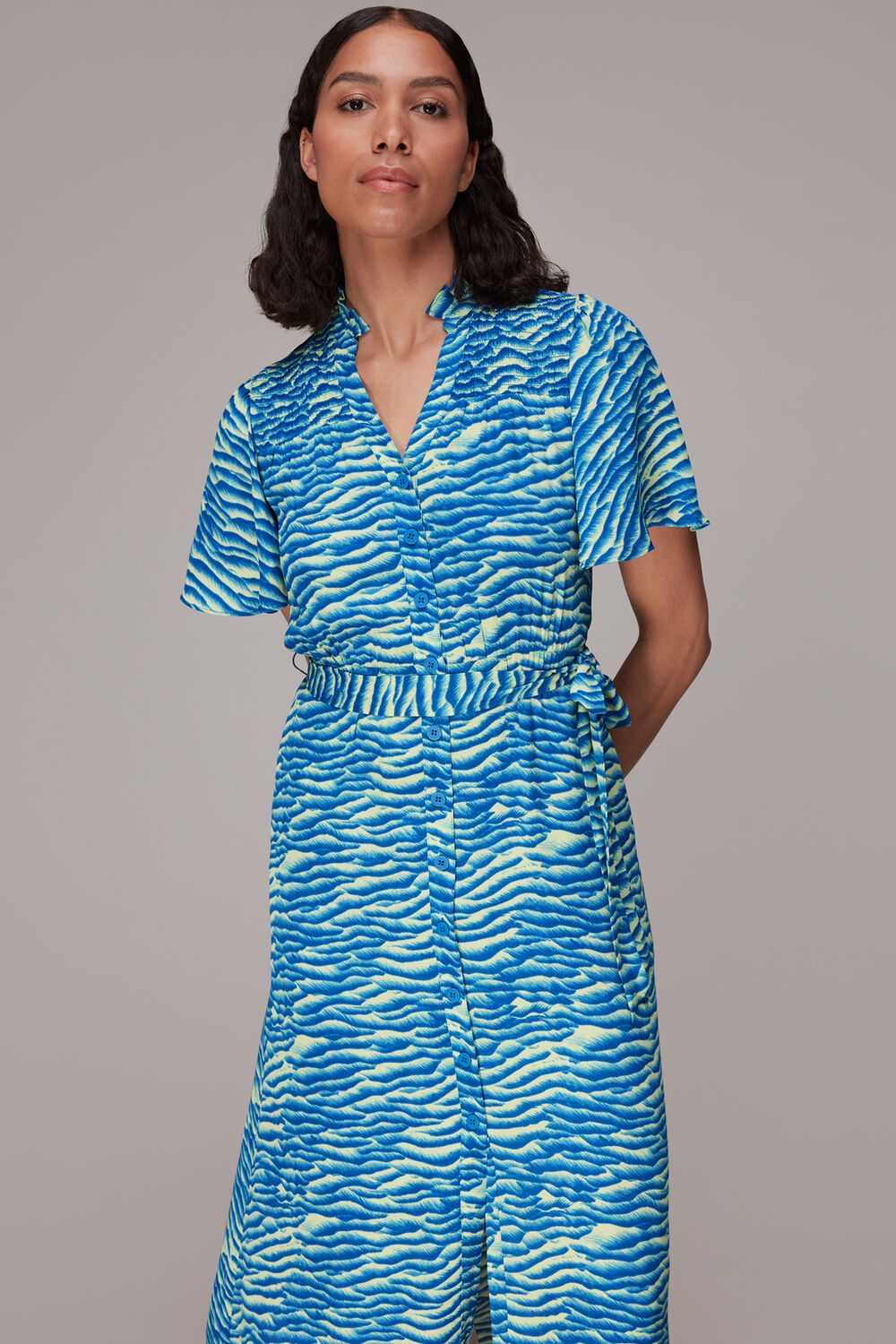 Seafoam Zebra Midi Dress