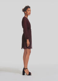 Velvet Spot Flippy Dress