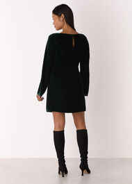 Petite Velvet Flare Sleeve Dress