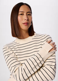 Classic Stripe Cotton Knit