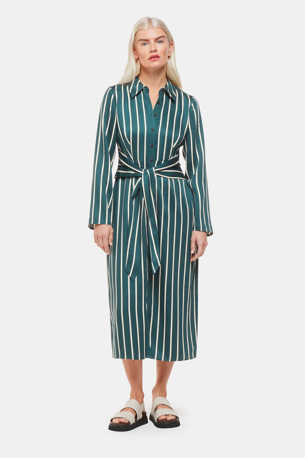Green Petite Alex Stripe Shirt Dress