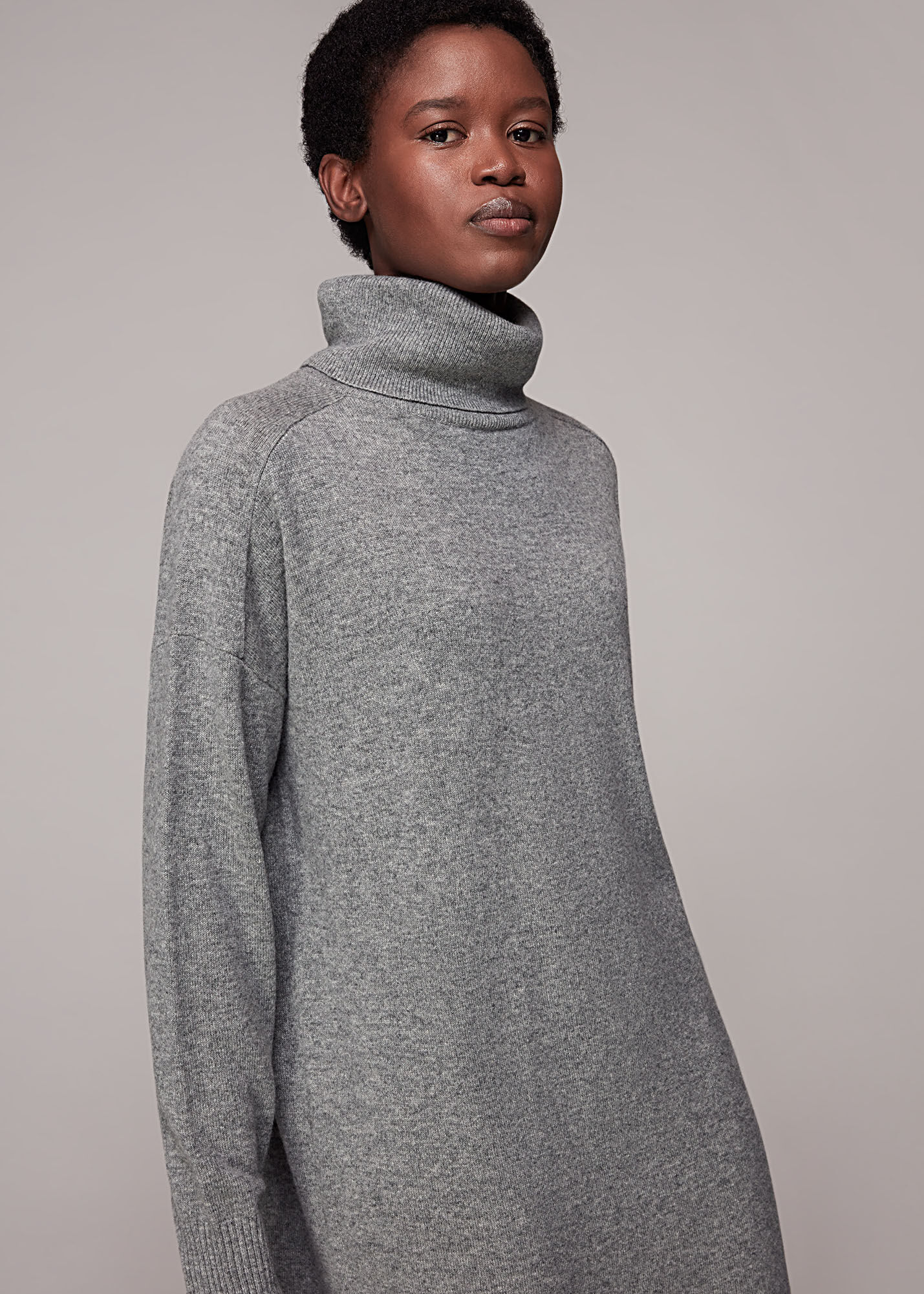 Roll neck deals dress