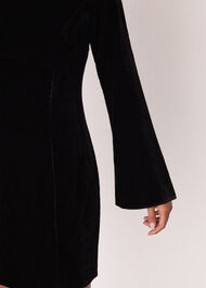 Petite Velvet Flare Sleeve Dress