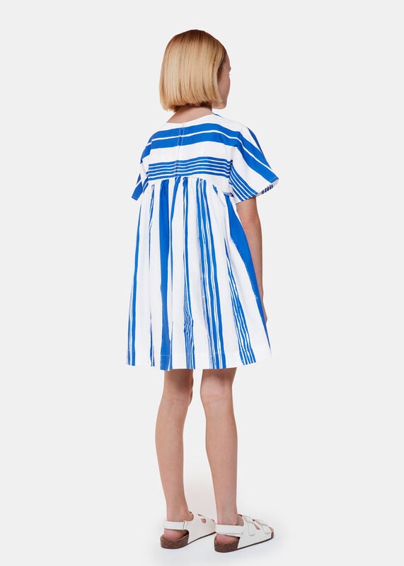 Blue Evelyn Stripe Dress