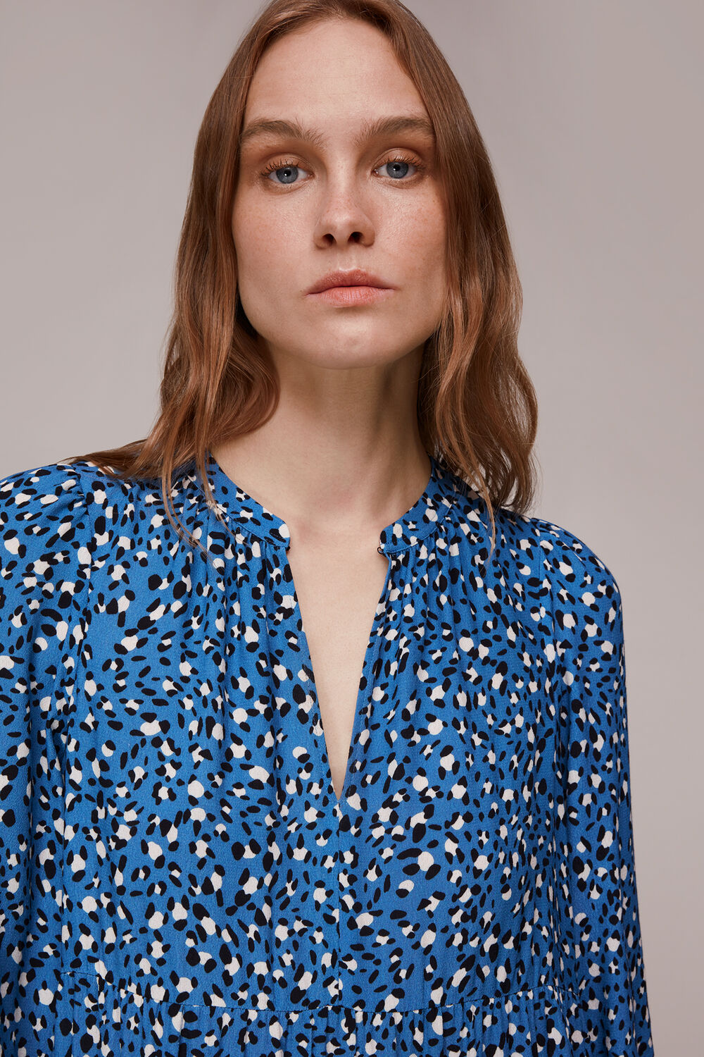 Amy Wild Leopard Trapeze Dress
