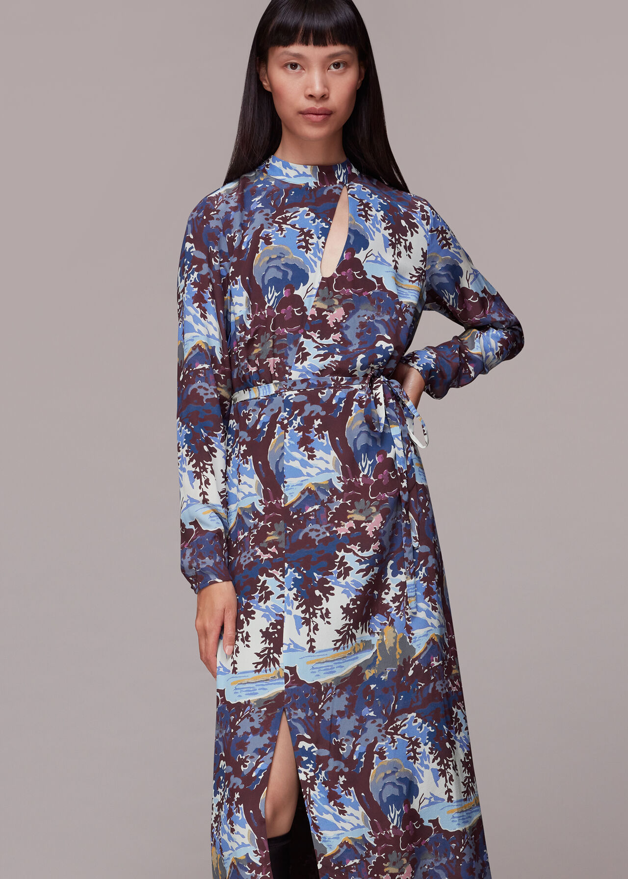 Multicolour Great Lake Keyhole Silk Dress | WHISTLES