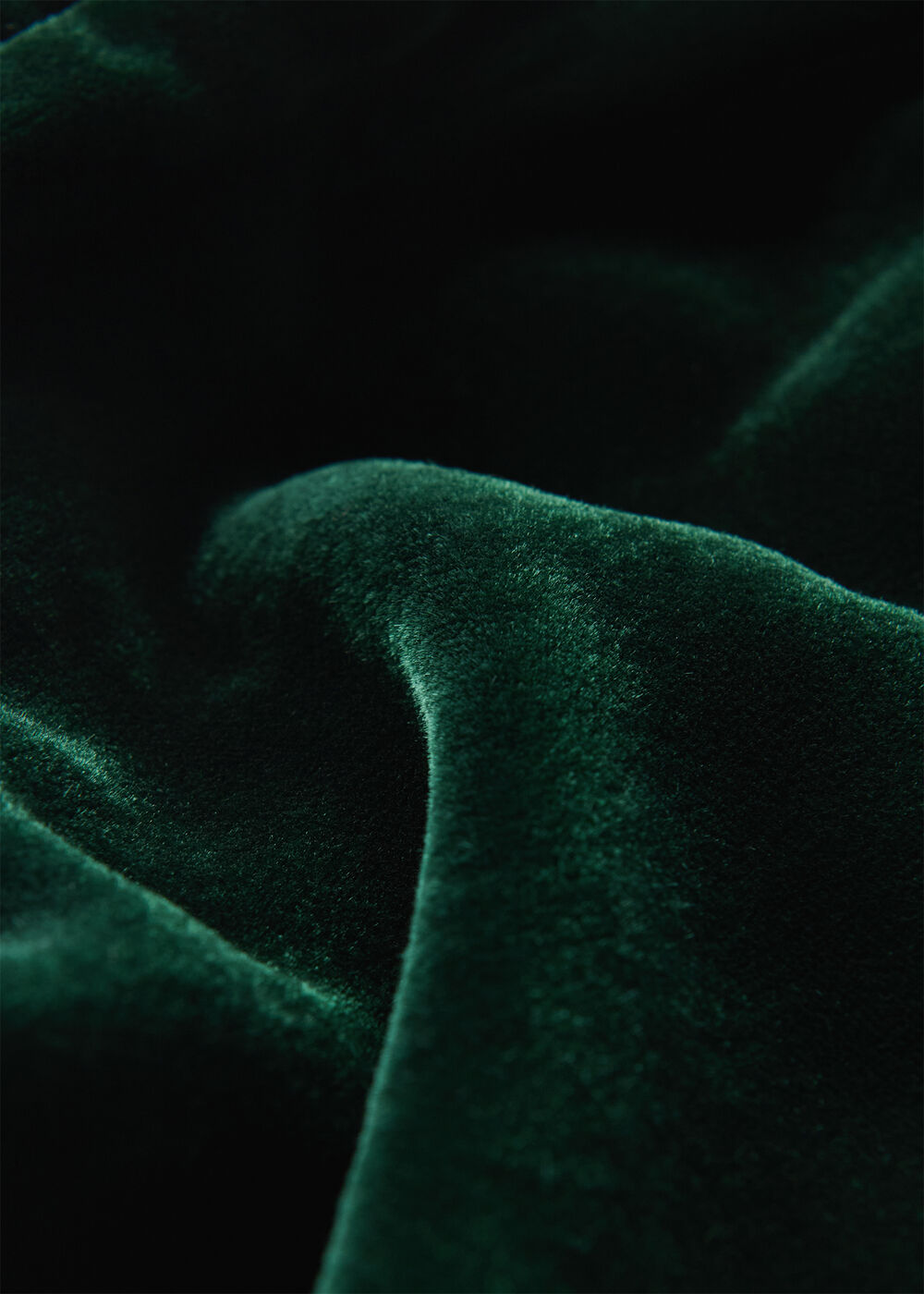 Petite Velvet Flare Sleeve Dress