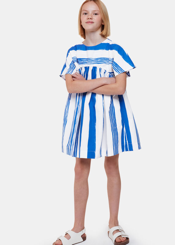 Blue Evelyn Stripe Dress
