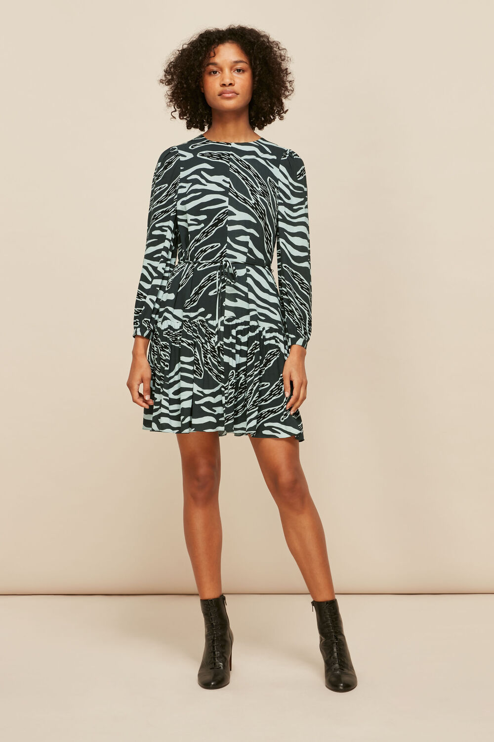Multicolour Graphic Zebra Print Dress