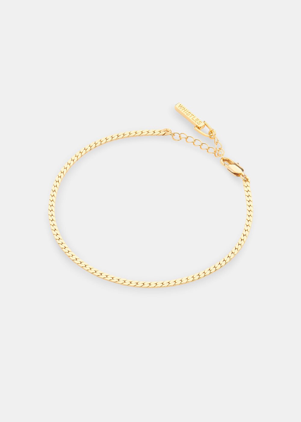 Classic Snake Chain Anklet