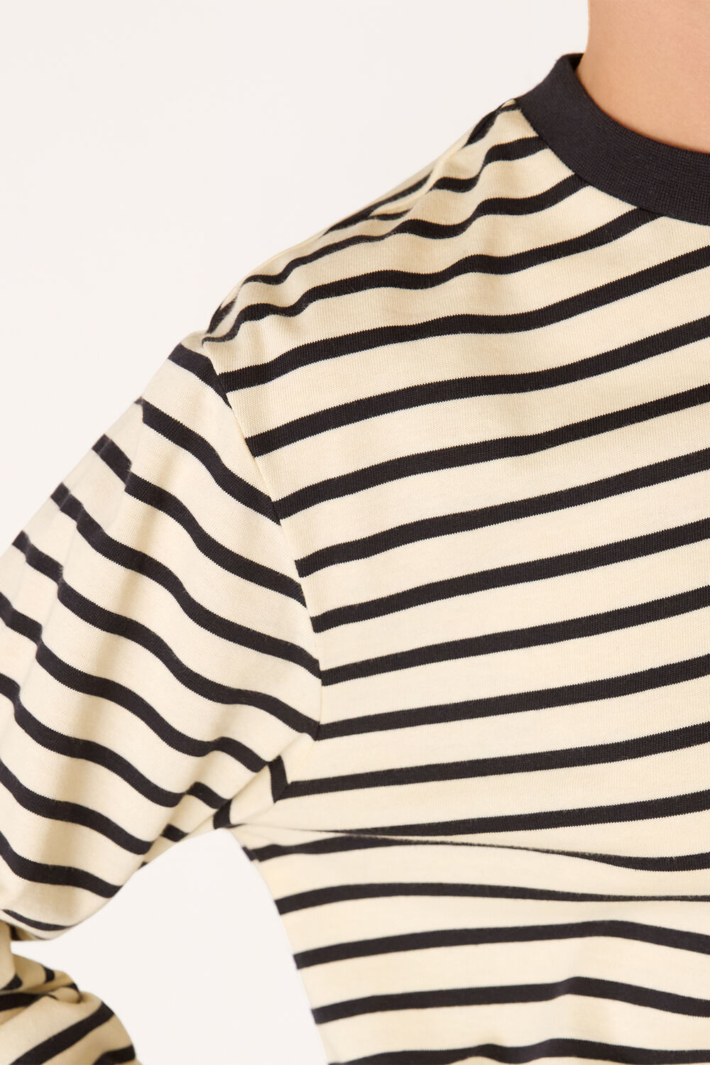 Ivory Stripe Cotton Jersey