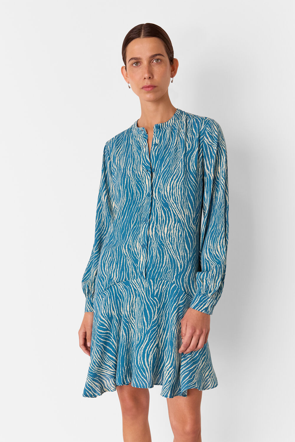 Blue Zebra Flippy Mini Dress