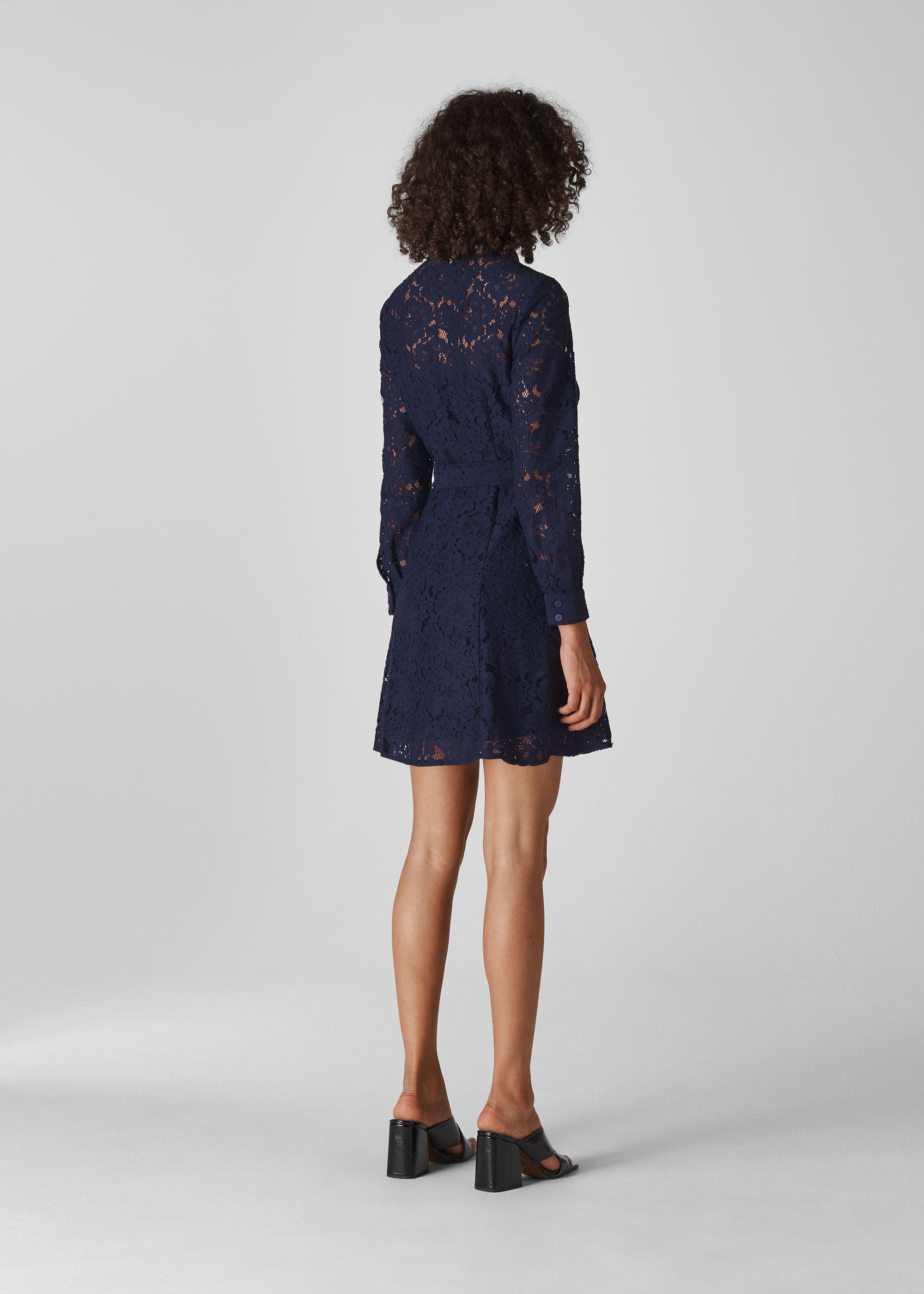 Oliviana Lace Mini Dress | WHISTLES | Whistles US |