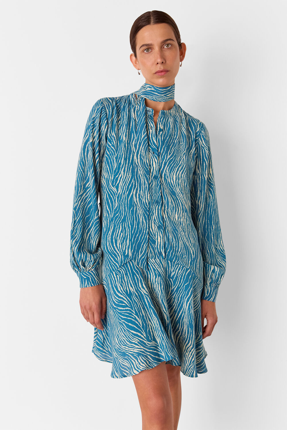 Blue Zebra Flippy Mini Dress