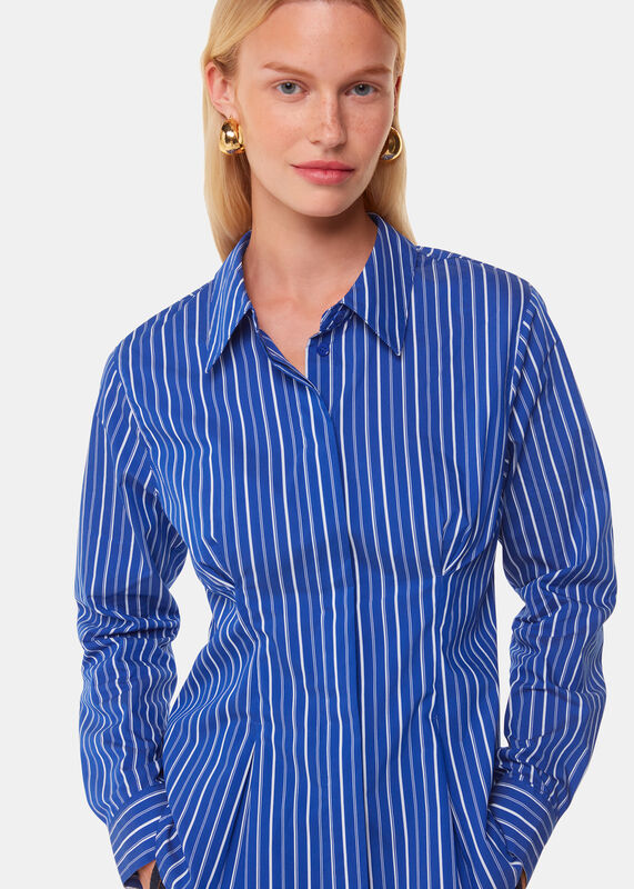 Blue Stripe Waisted Cotton Shirt