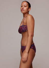 Animal Printed Bikini Bottom