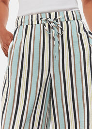Petite Vertical Stripe Nicola Trouser