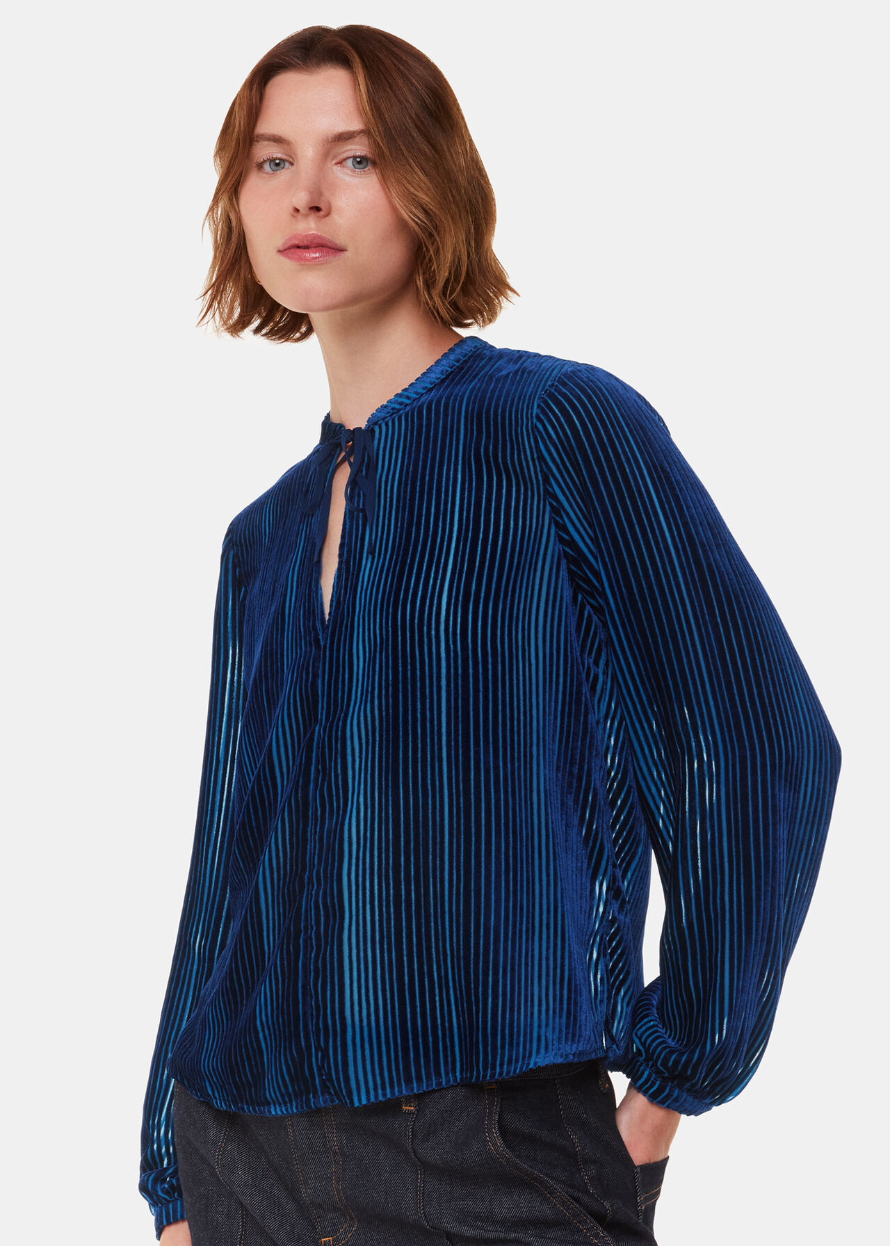 Devore Stripe Velvet Blouse