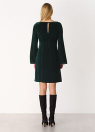 Velvet Flare Sleeve Dress