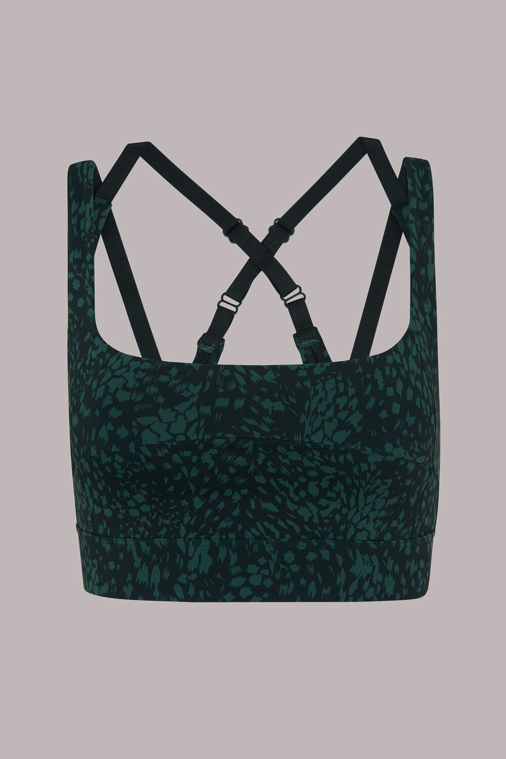 Animal Square Neck Sports Bra