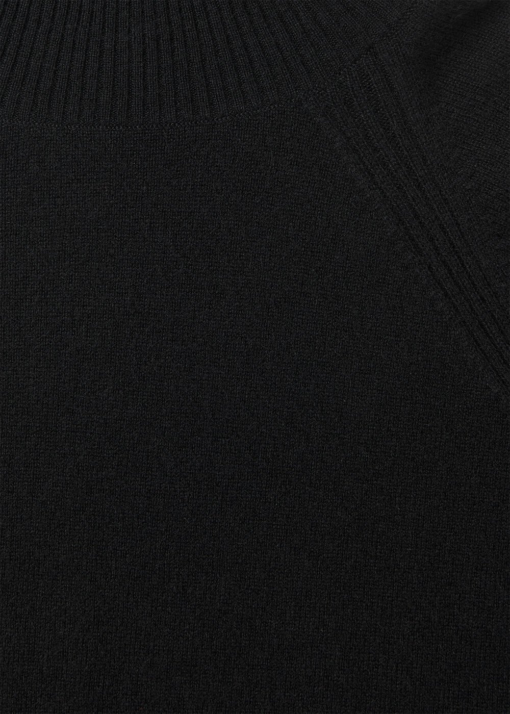 Petite Cashmere Roll Neck