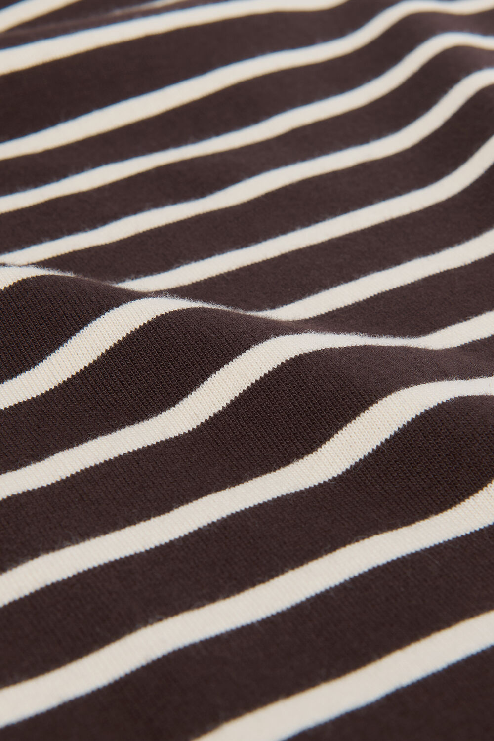 Stripe Cotton Jersey