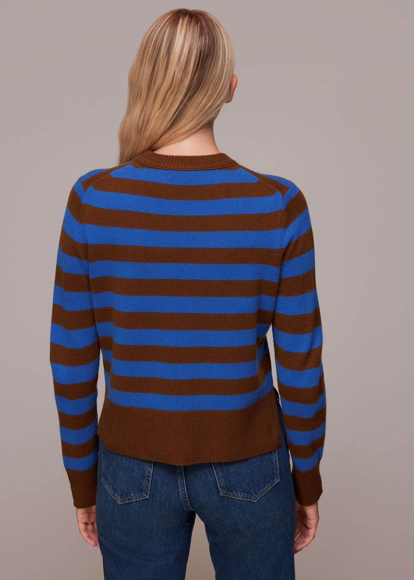 Blue/Multi Stripe Wool Jumper | WHISTLES