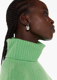 Curved Earring