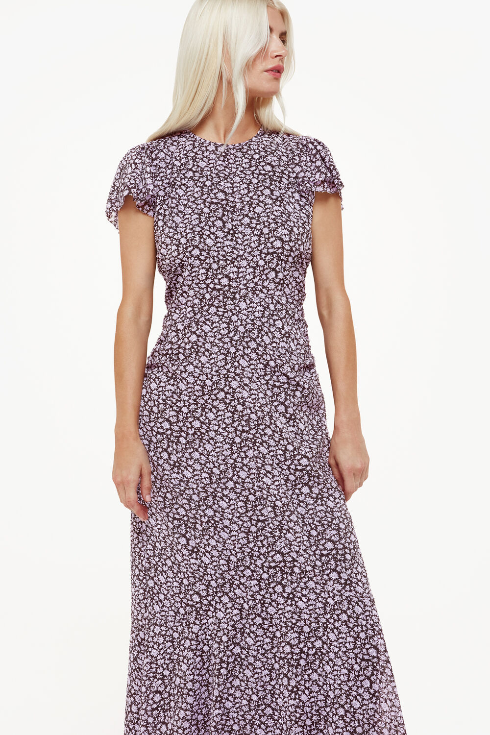 Purple Petite Daisy Field Lola Dress