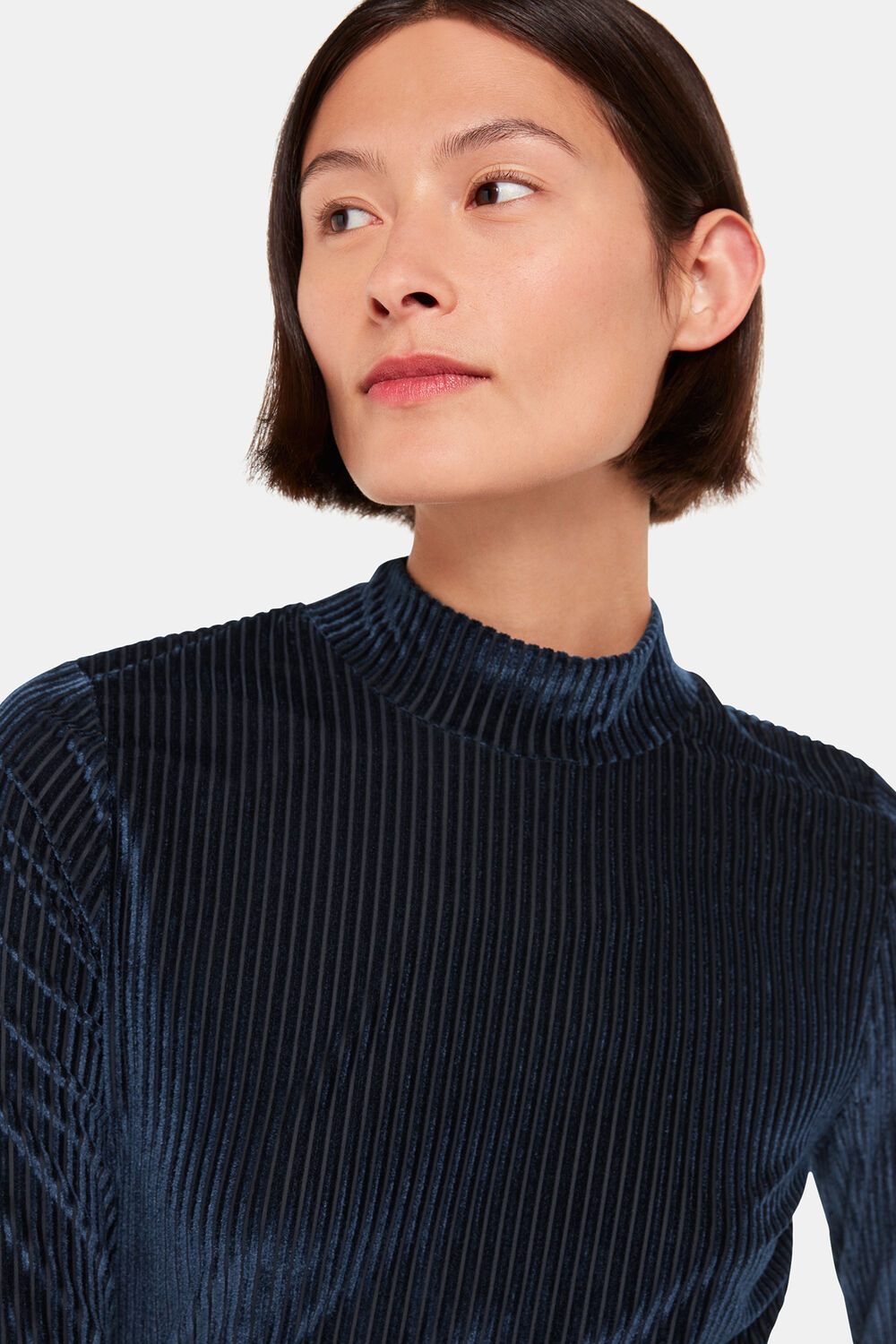 Velvet Stripe High Neck Top