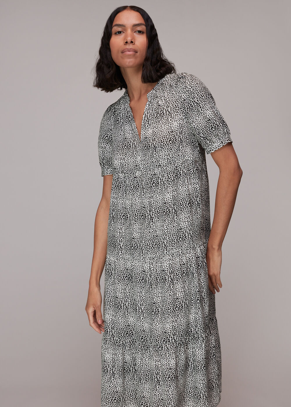 Gradient Leopard Trapeze Dress