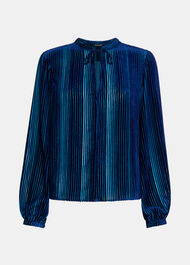 Devore Stripe Velvet Blouse