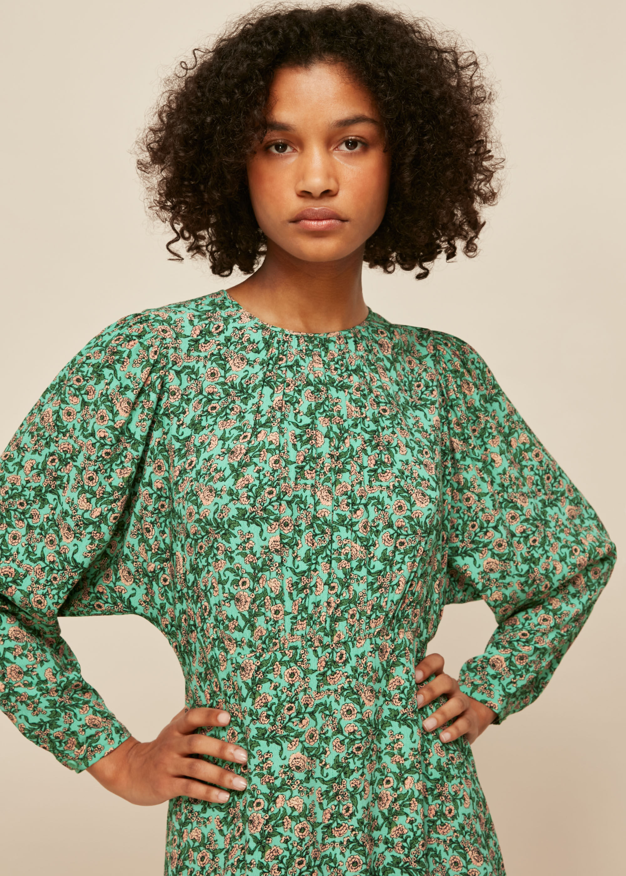 Whistles deco floral print dress cheap