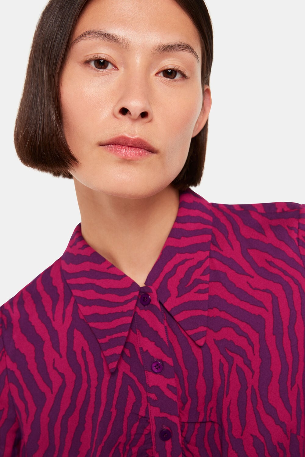 Zebra Stripe Collar Dress